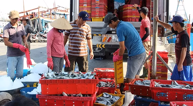 Сектор морепродуктов Вьетнама прилагал усилия по борьбе с ННН-промыслом. 