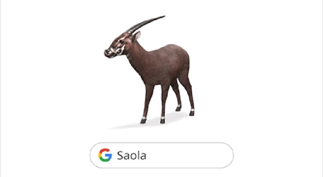Google 9 июля запускает 3D-модель Саолы в AR в поиске Google.