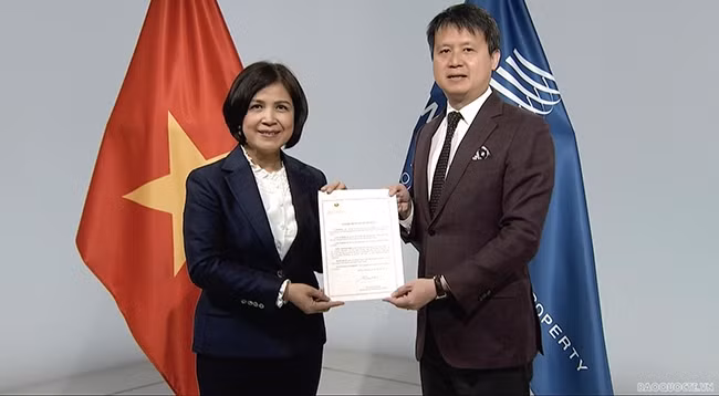 Посол Ле Тхи Тует Май и Генеральный директор ВОИС Дарен Танг. Фото: baoquocte.vn