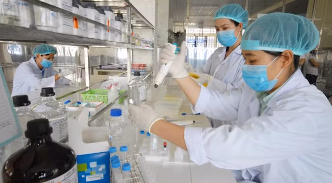 Фото: nongnghiep.vn