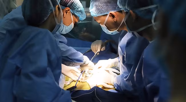 Врачи выполняют операцию.