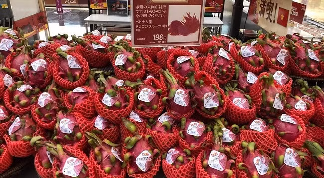 Драконий фрукт Вьетнама в системе японских супермаркетов Aeon. Фото: moit.gov.vn