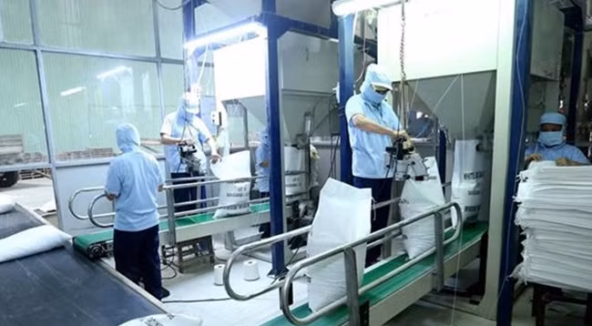 Упаковка риса для экспорта. Фото: VNA