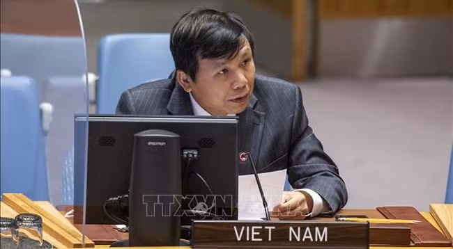 Посол Данг Динь Кюи, глава постоянной миссии Вьетнама при ООН. Фото: VNA