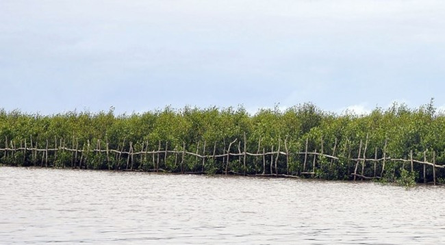 Иллюстрация. Фото: VNA