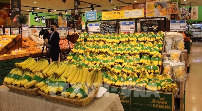 Вьетнамские бананы в супермаркете Lotte. Фото: VNA