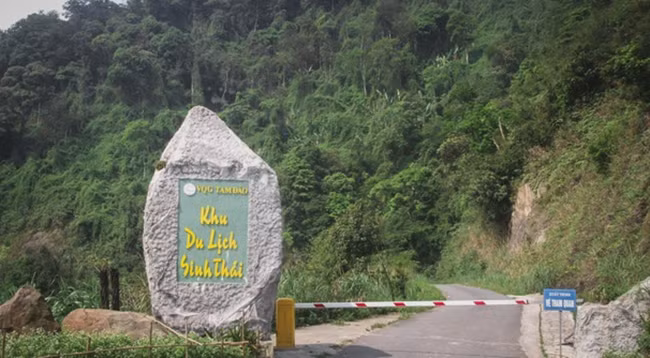 Дорога в зону экотуризма. Фото: zingnews.vn