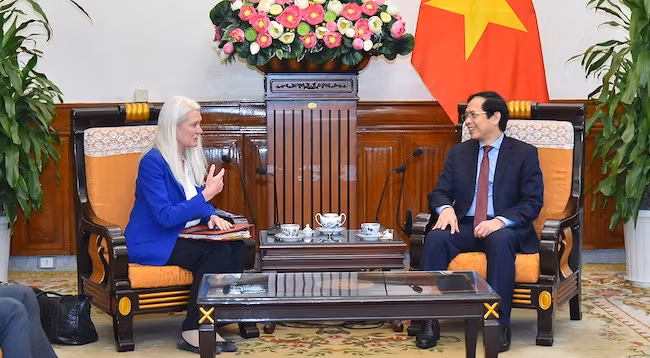 Министр иностранных дел Вьетнама Буй Тхань Шон и Младший министр иностранных дел Великобритании по азиатским делам Аманда Миллинг. Фото: МИД Вьетнама