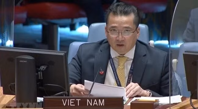 Посол Фам Хай Ань, заместитель главы постоянной миссии Вьетнама при ООН. Фото: VNA
