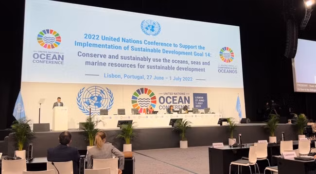 Общий вид Конференции. Фото: VNA