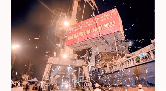 Выгрузка первой партии в портовом терминале Хоангзьеу. 