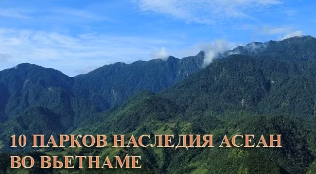 Национальный парк Хоанглиен. Фото: vqghl.laocai.gov.vn