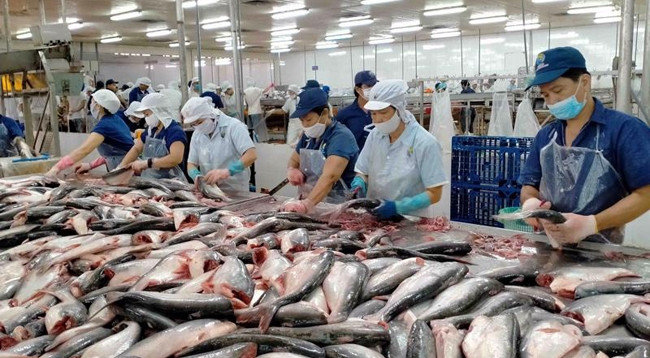 ЕС является одним из ведущих экспортных рынков водной продукции Вьетнама. Фото: vneconomy.vn