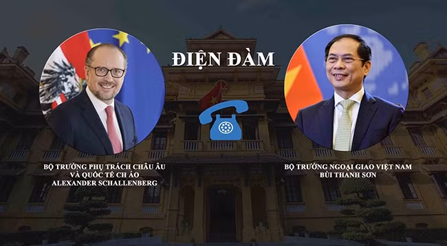 Министр иностранных дел Вьетнама Буй Тхань Шон и Федеральный министр по европейским и международным делам Австрии Александр Шалленберг. Фото: МИД Вьетнама