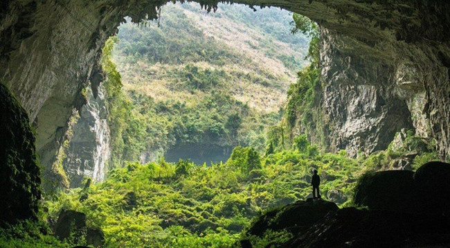 Фото: thoidai.com.vn