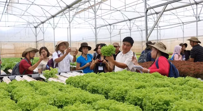 Фото: dangcongsan.vn