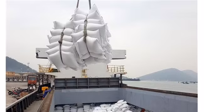 Спрос на рис на многих основных рынках увеличился примерно на 10%. Фото: VNA