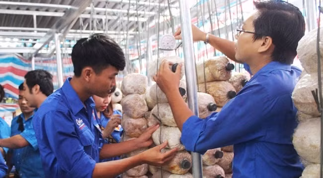 Иллюстрация. Фото: tuoitrephuyen.vn