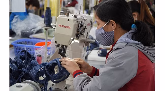 Более 99% стоимости экспорта обуви Вьетнама в ЕС пользуются льготой в рамках соглашения. 