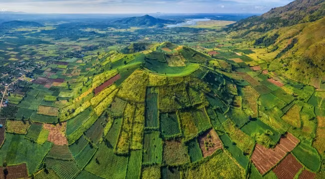 Нетронутая красота горных лесов Тэйнгуен