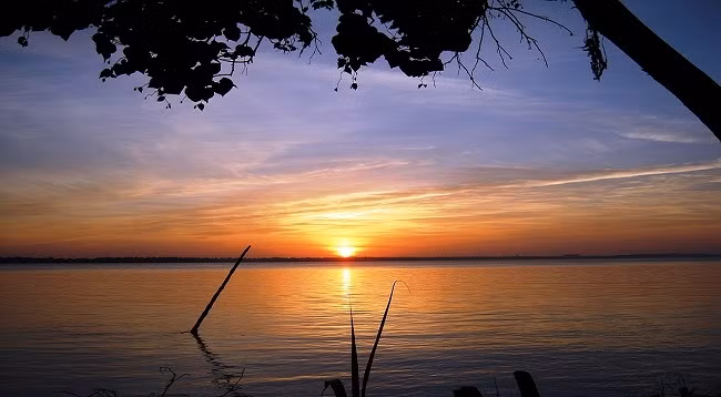 С острова Зунг можно удобно установить торговую связь с другими провинциями в районе дельты Меконга по водному и автодорожному пути. Фото: tapchicongthuong.vn