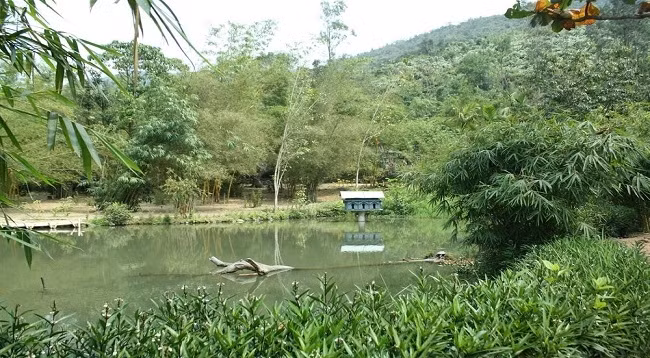 Фото: laodong.vn