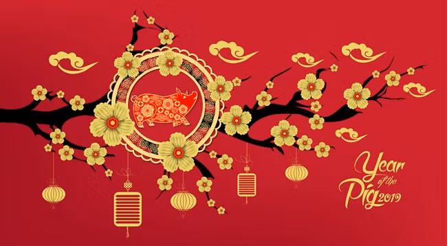 2019 год – год свиньи. Фото: dreamstime.com 