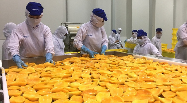 Сушеные фрукты являются одним из видов переработанных продуктов с наибольшей стоимостью экспорта за первый квартал 2020 г. Фото: tuoitre.vn