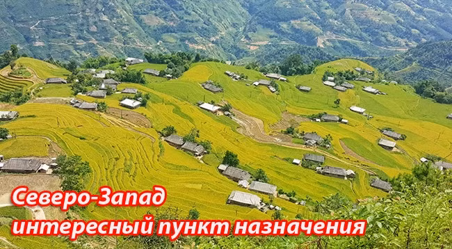 Фото: news.zing.vn