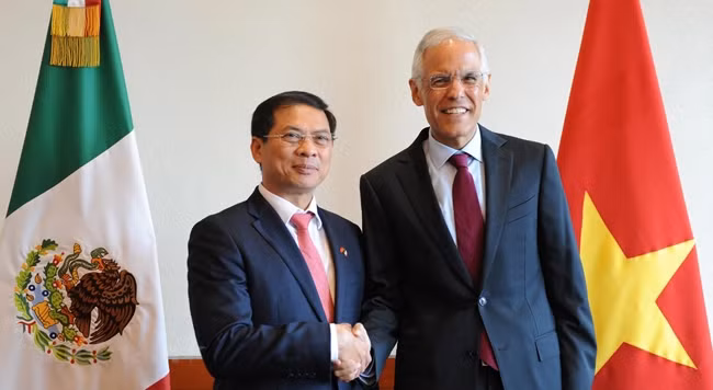 Постоянный заместитель министра иностранных дел Вьетнама Буй Тхань Шон (слева) и Заместитель министра иностранных дел Мексики Хулиан Вентура Валеро. Фото: vietnamplus.vn