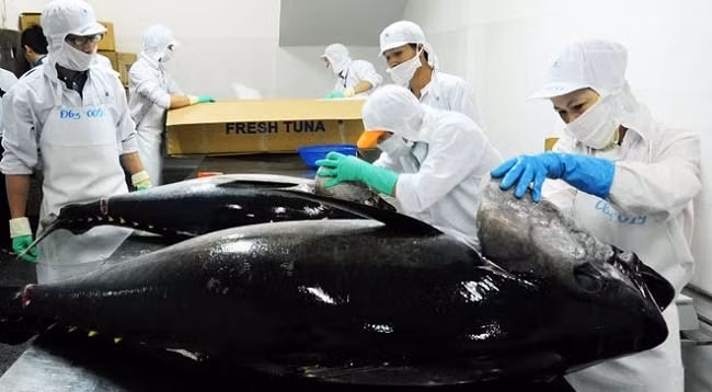 Фото: fishretail.ru