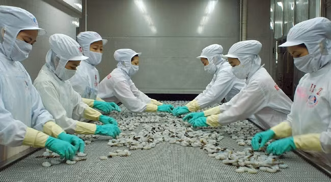 Содействие устойчивому развитию вьетнамских предприятий-экспортёров