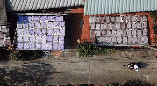 Когда солнце встает, начинается сушка муки. Фото: tuoitre.vn