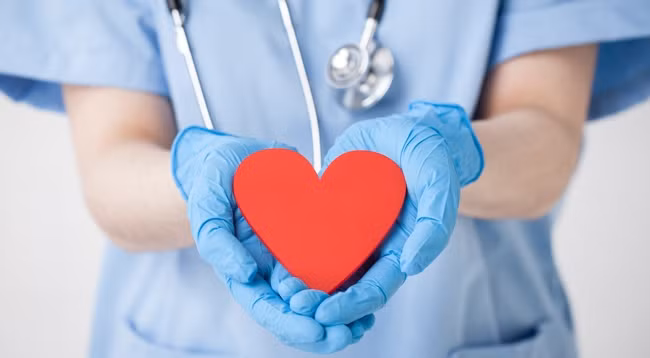 Фото: caodangduochn.edu.vn