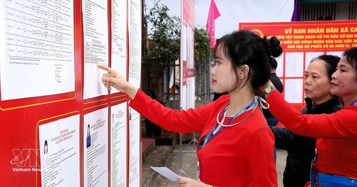 Избирательница народности Мыонг, впервые участвующая в выборах, внимательно изучает биографию кандидатов. Фото: ВИА