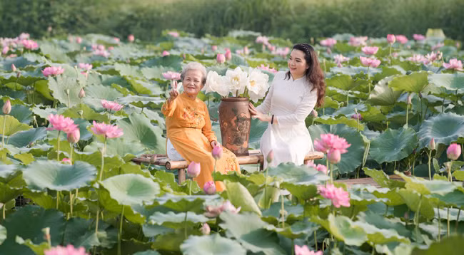 Сезон лотоса в Ханое ảnh 9
