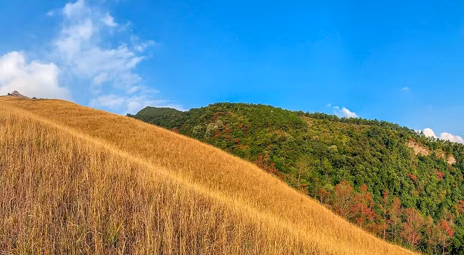 Открываем для себя красоту горы Тя ảnh 4