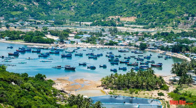 Наслаждаемся одной из самых красивых дорог вдоль морского побережья Вьетнама ảnh 3