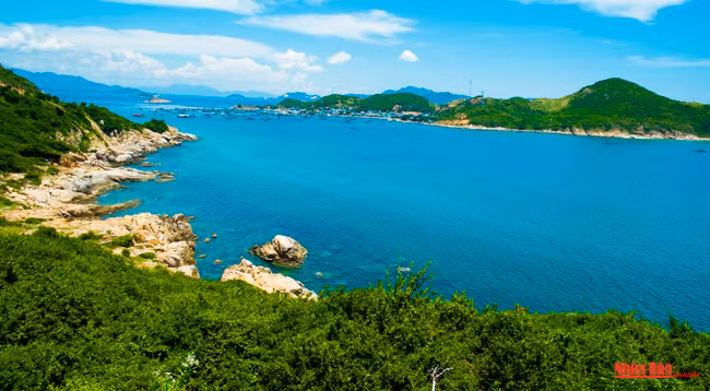 Наслаждаемся одной из самых красивых дорог вдоль морского побережья Вьетнама ảnh 6