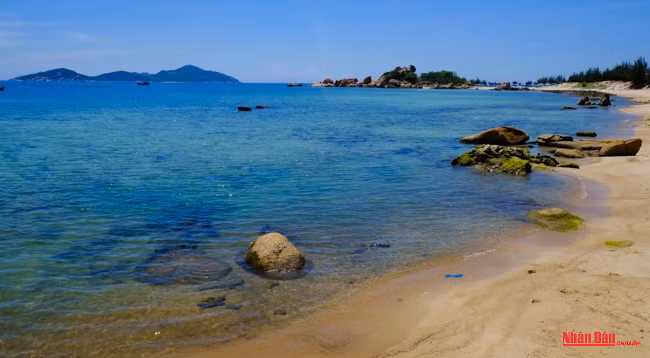 Наслаждаемся одной из самых красивых дорог вдоль морского побережья Вьетнама ảnh 7