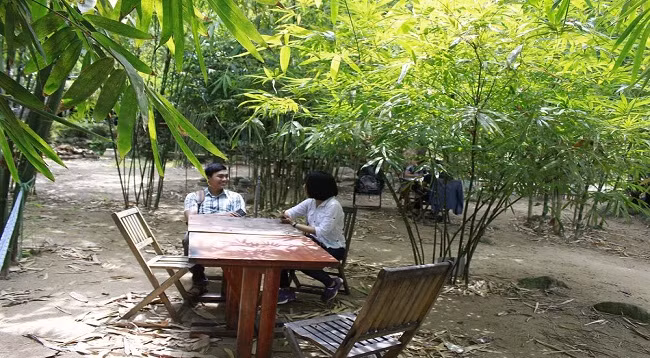 Зеленое пространство в бамбуковом музее у горы Шонча ảnh 6