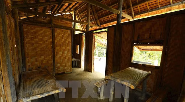 Посещение исторического памятника Мыонгфанг среди девственного леса ảnh 7