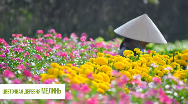 Куда поехать в провинции Виньфук ảnh 5