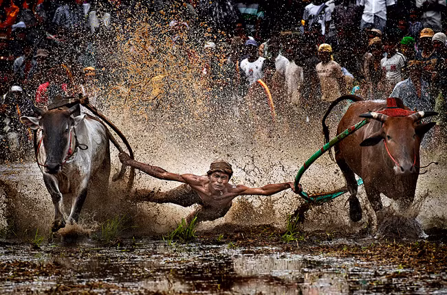 10 лучших фотографий о странах и людях АСЕАН ảnh 3