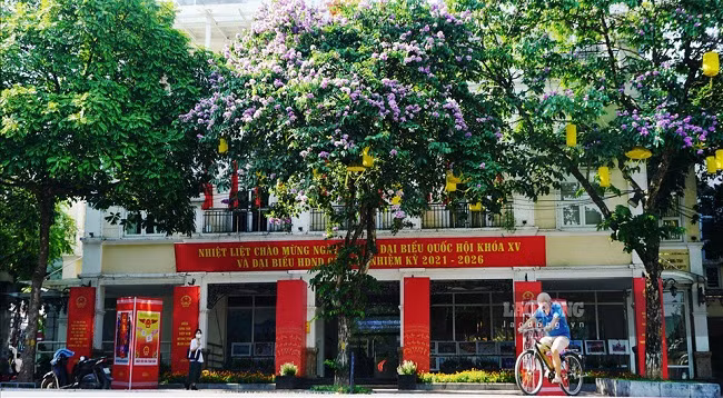Улицы Ханоя украшены флагами и цветами в честь дня выборов ảnh 4