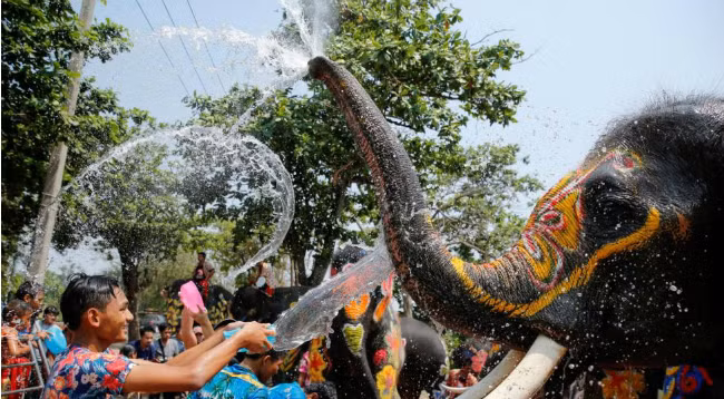 Традиционный Новый год в азиатских странах ảnh 6