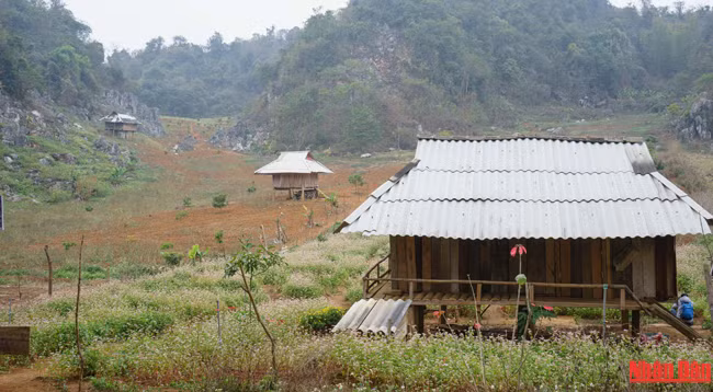  Красота плоскогорья Моктяу ảnh 4