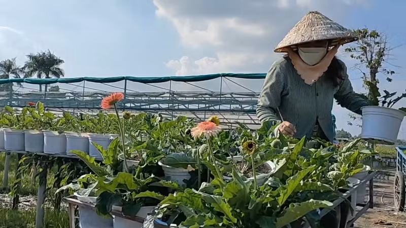 Цветочная деревня Шадек в преддверии Тэта ảnh 5