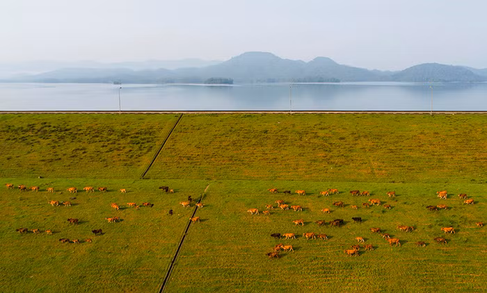 Озеро Кего – очаровательный зеленый оазис в провинции Хатинь ảnh 9