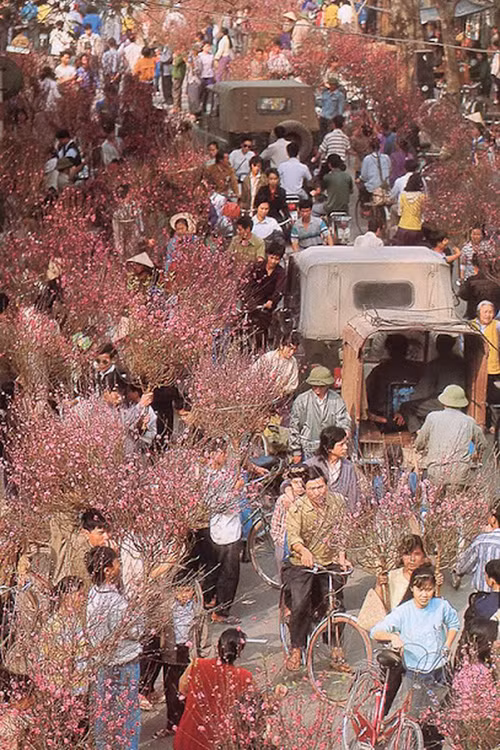 Как ханойцы готовились к Тэту в период карточно-распределительной системы ảnh 3